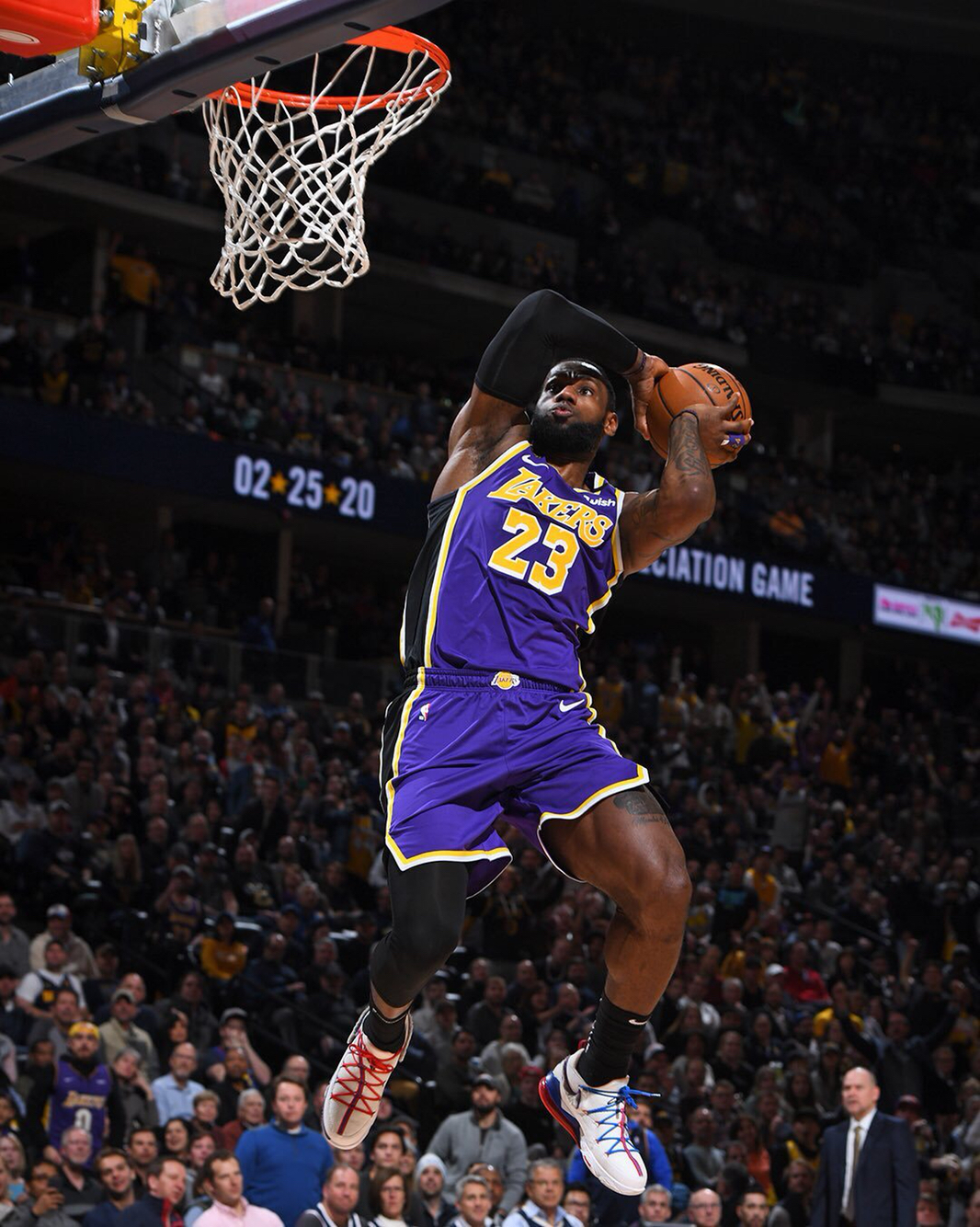 帽子戏法拯救球队！外媒：都柏林博物馆将只鹦鹉以帕洛特命名（戴帽救主！外媒：都柏林博物馆拟以帕洛特命名一只鹦鹉）